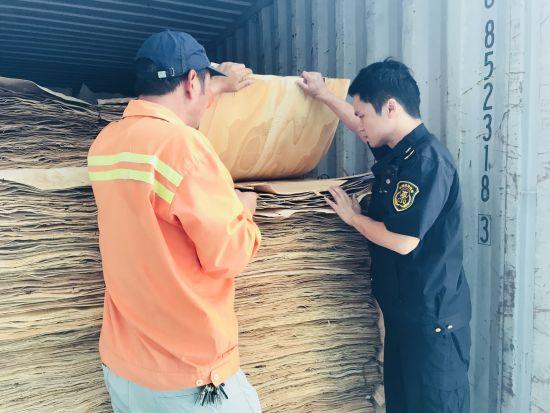 圖為測驗檢疫場景。