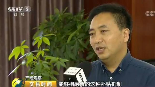 天然橡膠價格近腰斬 壯年高產橡膠樹遭棄割