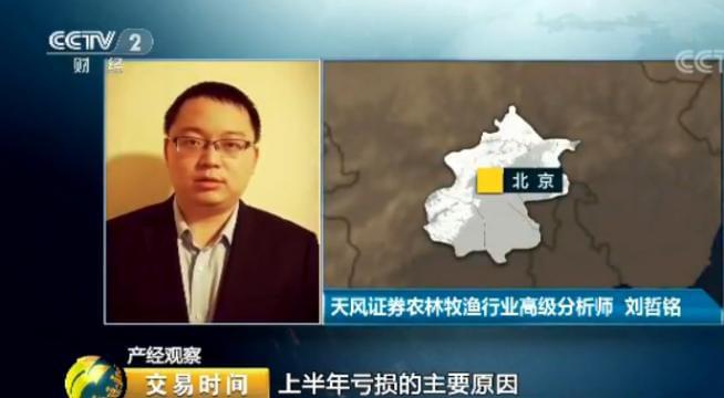 天然橡膠價格近腰斬 壯年高產橡膠樹遭棄割