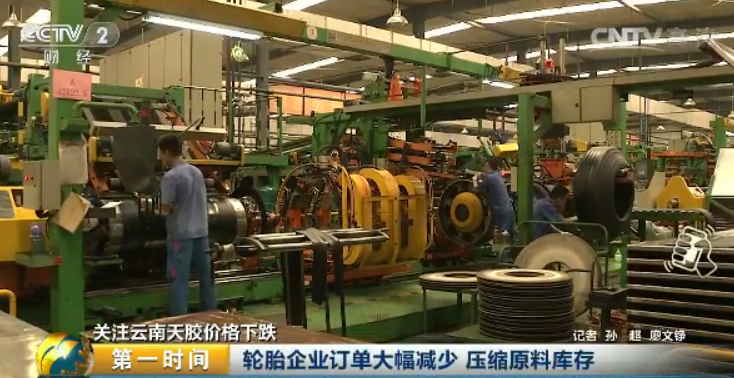 天然橡膠現大幅跳水！四個月價格大跌40% 膠農棄割