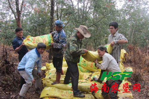 水袋氣囊 圖為保國分公司第四派駐組三十三隊干部職工冬春管工作現場。(余德現)