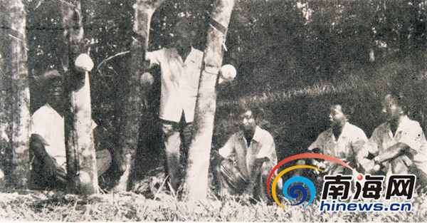 水袋氣囊 水袋氣囊