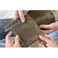 用蛋殼和番茄皮來增強橡膠