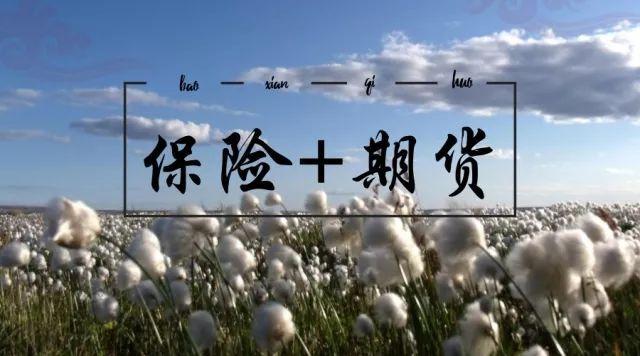 棉花產(chǎn)業(yè)保險(xiǎn)+期貨