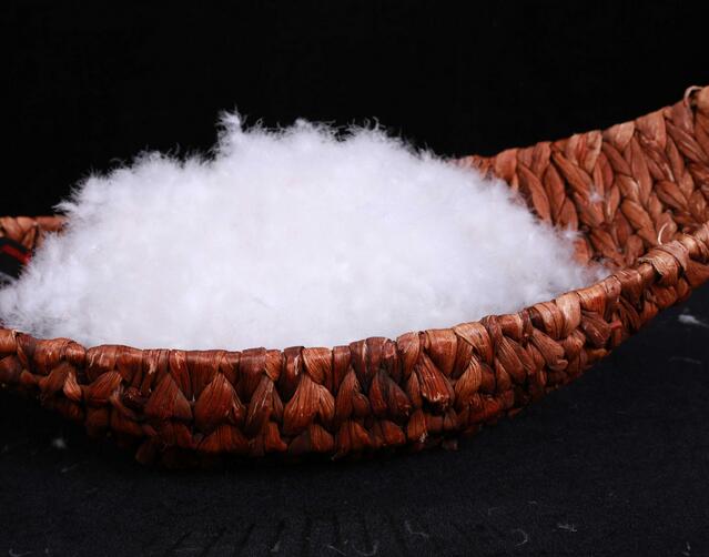 鵝絨和鴨絨羽絨服哪個更好？